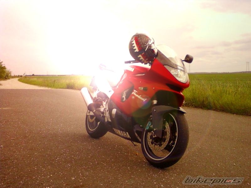 1997 YAMAHA THUNDERCAT | Picture 2405532 motorcycle photo