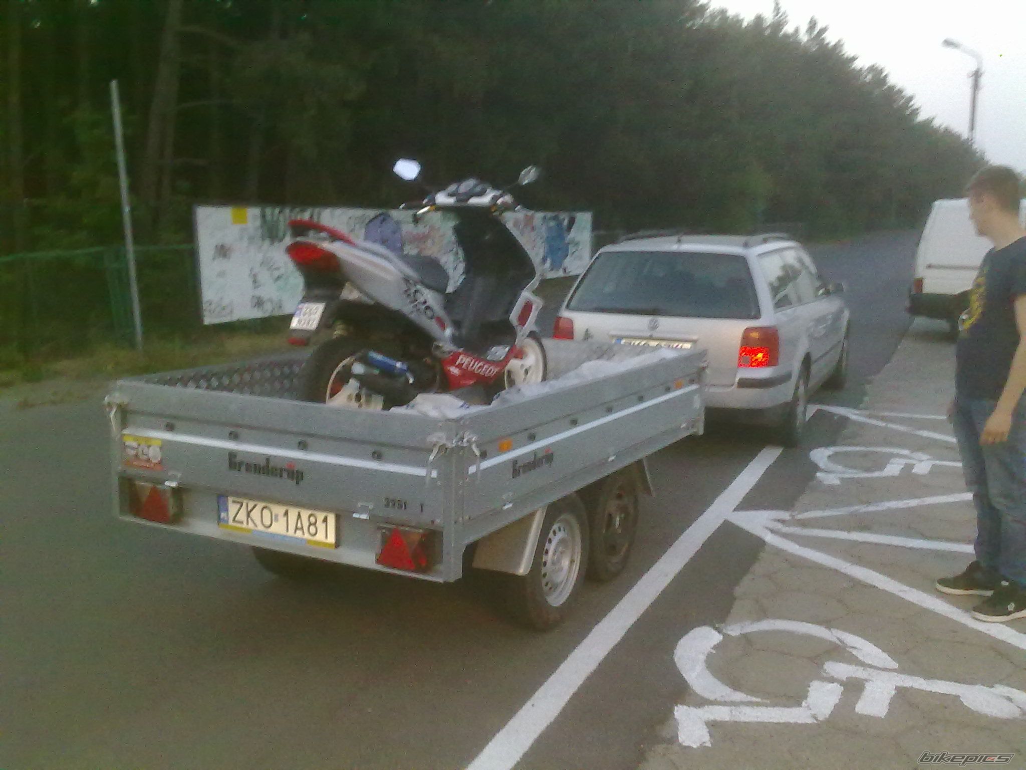 2003 PEUGEOT SPEEDFIGHT2 50 | Picture 2405796 motorcycle photo