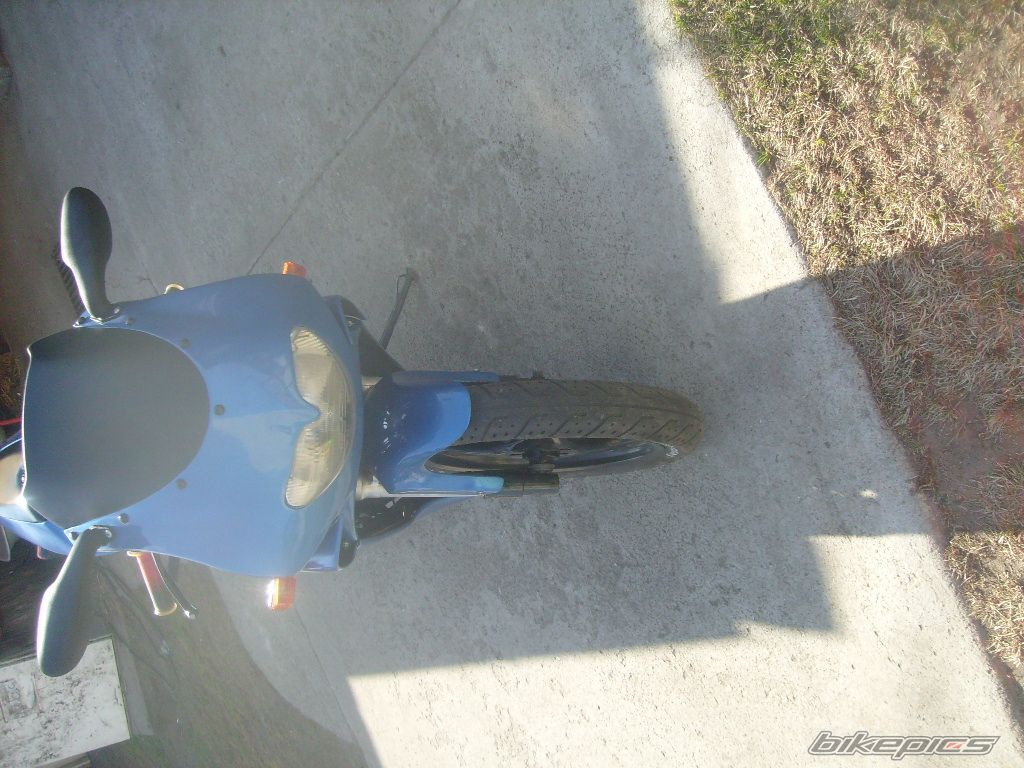 1995 APRILIA RS 50 | Picture 2406187 motorcycle photo