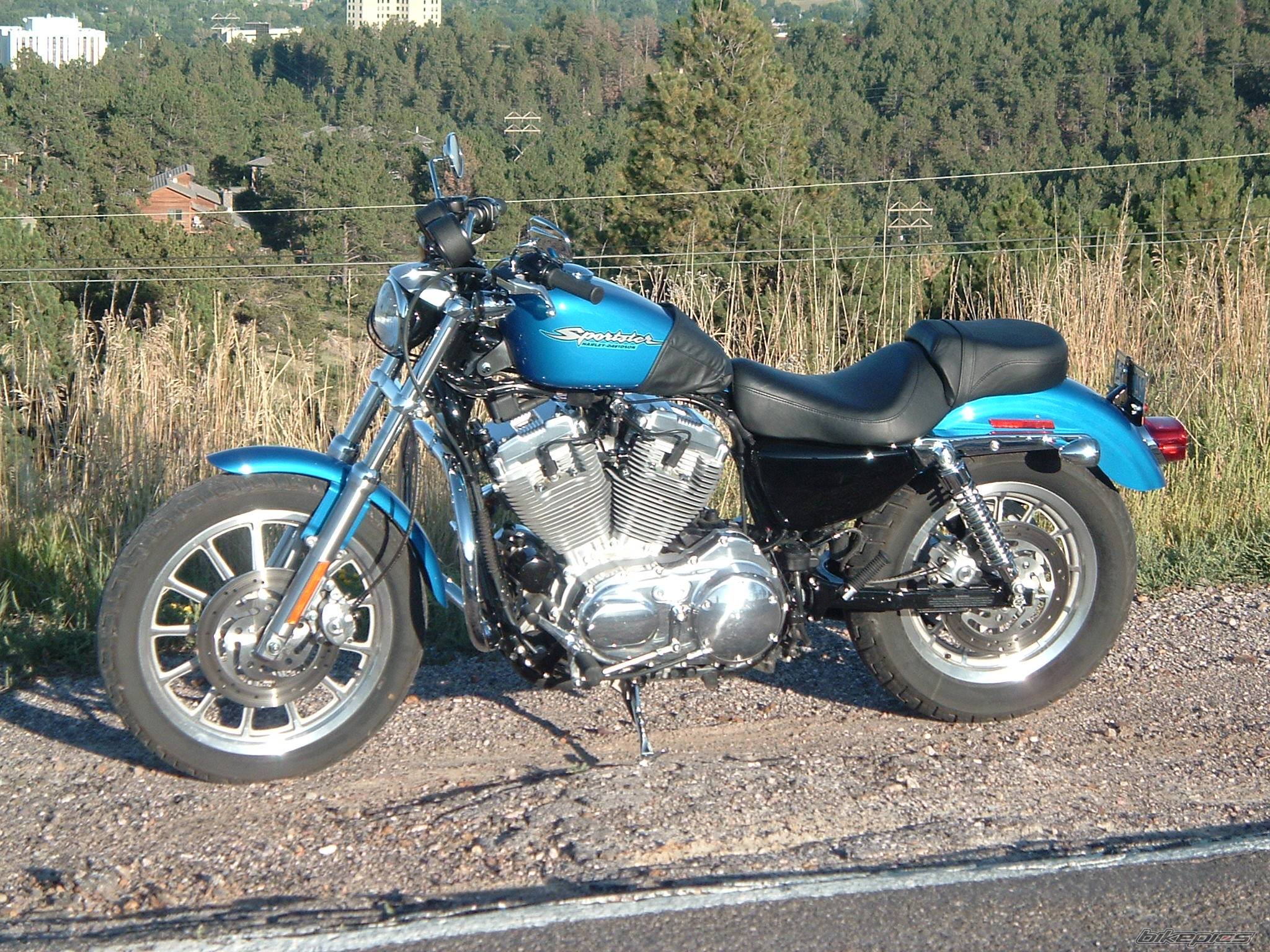 2004 HARLEY DAVIDSON XLH 883 | Picture 240656 motorcycle photo