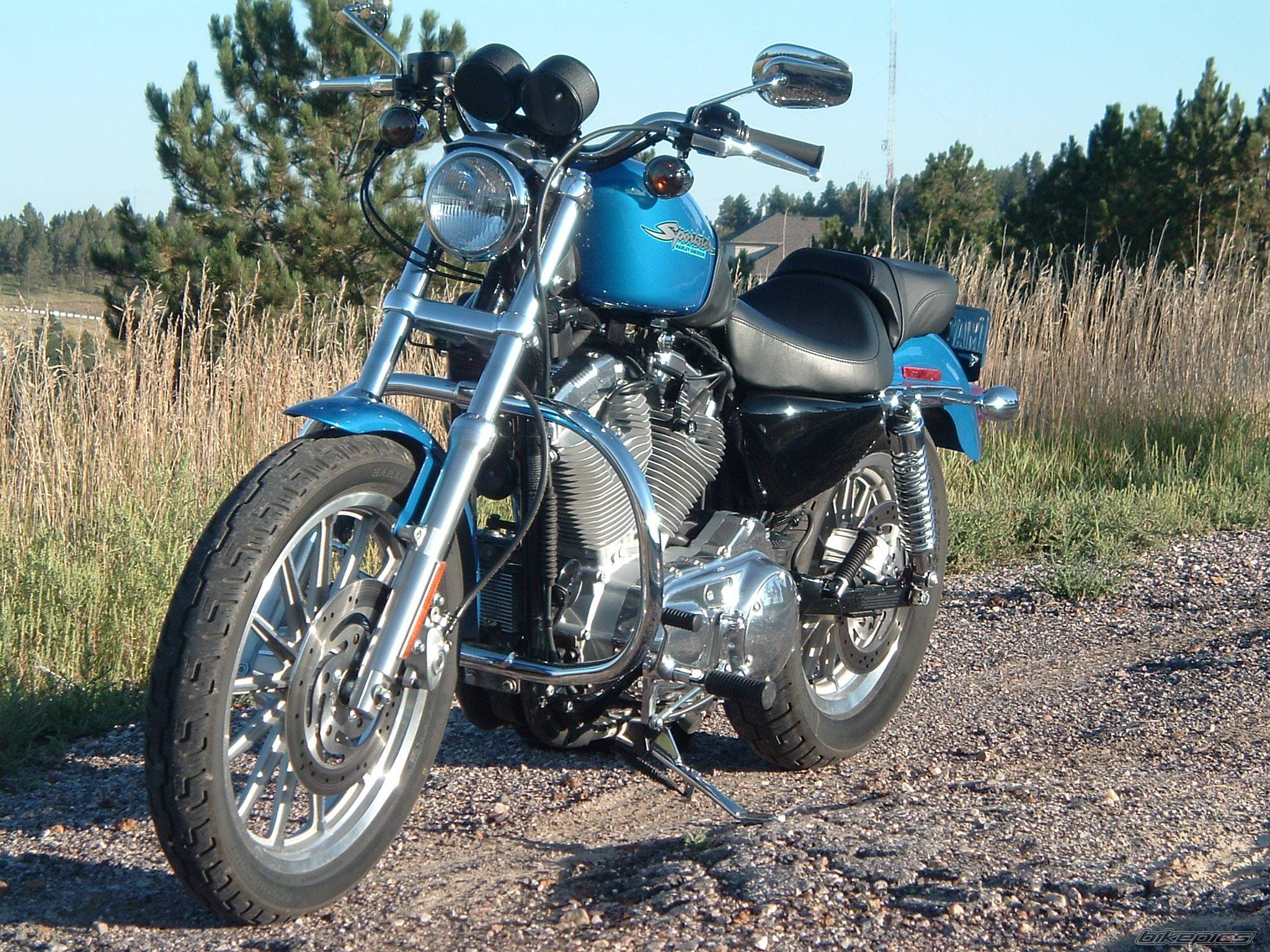 2004 HARLEY DAVIDSON XLH 883 | Picture 240659 motorcycle photo