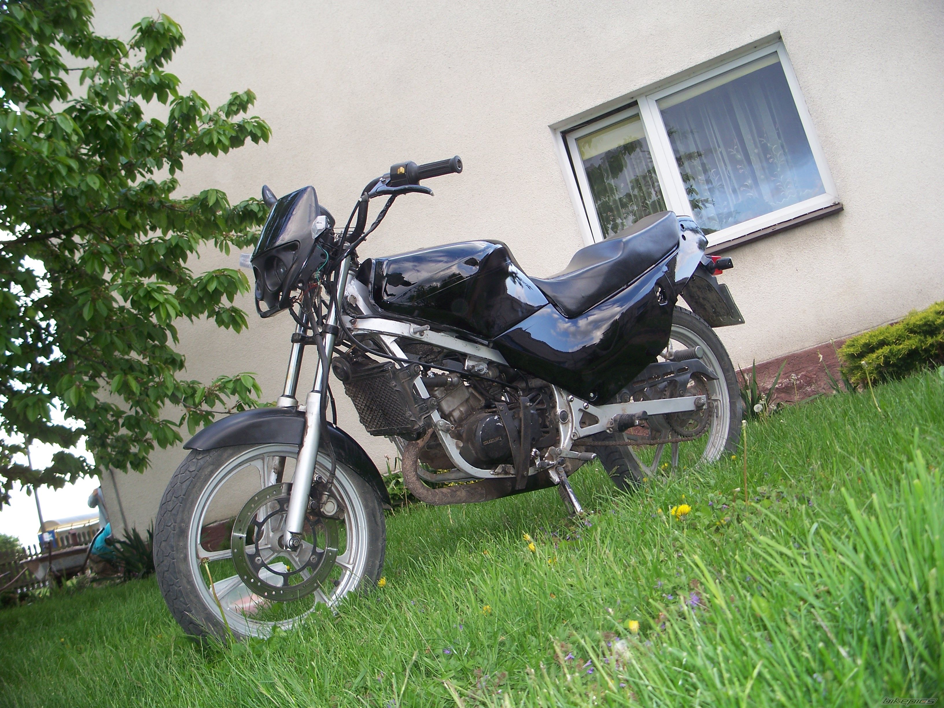 1995 SUZUKI RG 80 | Picture 2406791 motorcycle photo