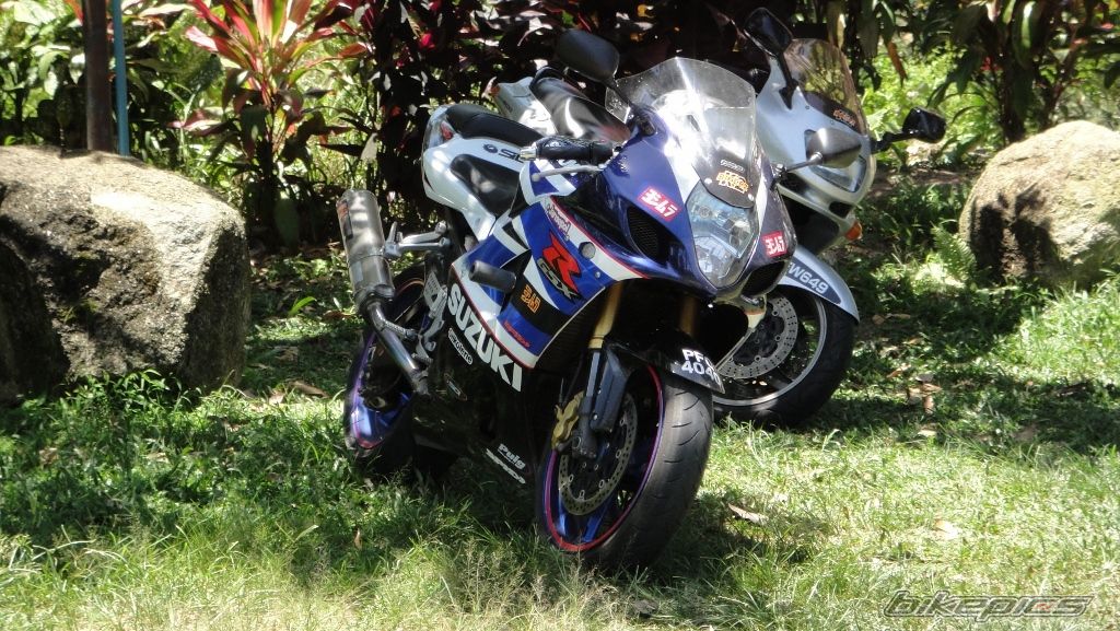 2003 SUZUKI GSX R 1000 | Picture 2407515 motorcycle photo