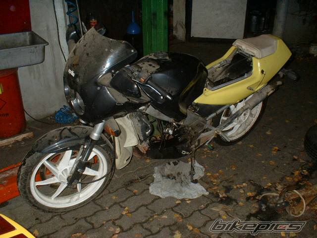 1992 APRILIA AF1 REPLICA 125 | Picture 240787 motorcycle photo