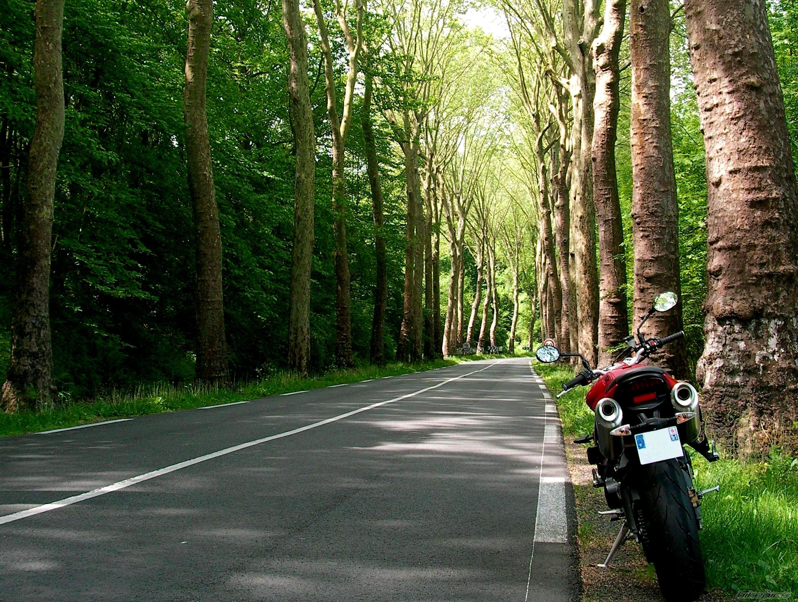 2012 TRIUMPH STREET TRIPLE R | Picture 2407880 motorcycle photo