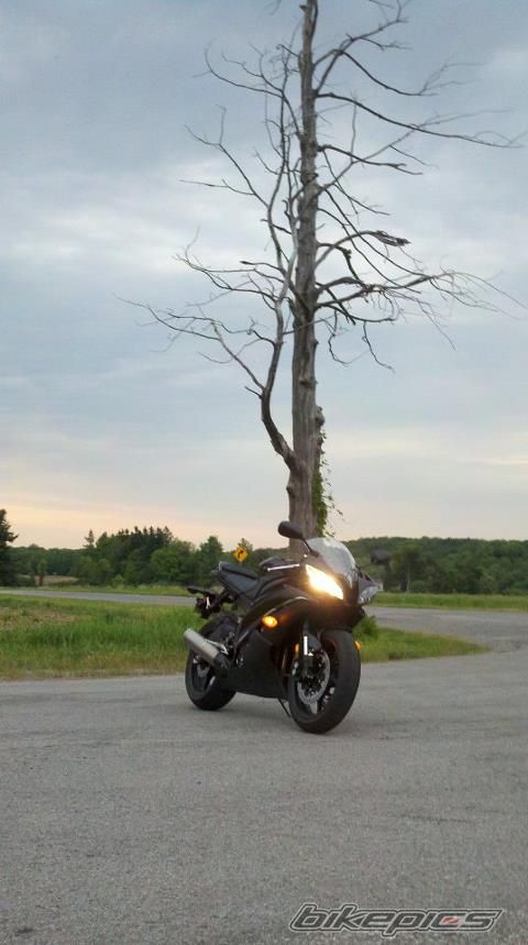2012 YAMAHA YZF R6 | Picture 2407887 motorcycle photo
