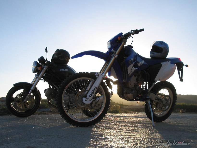 2004 DUCATI MONSTER 620 | Picture 240798 motorcycle photo
