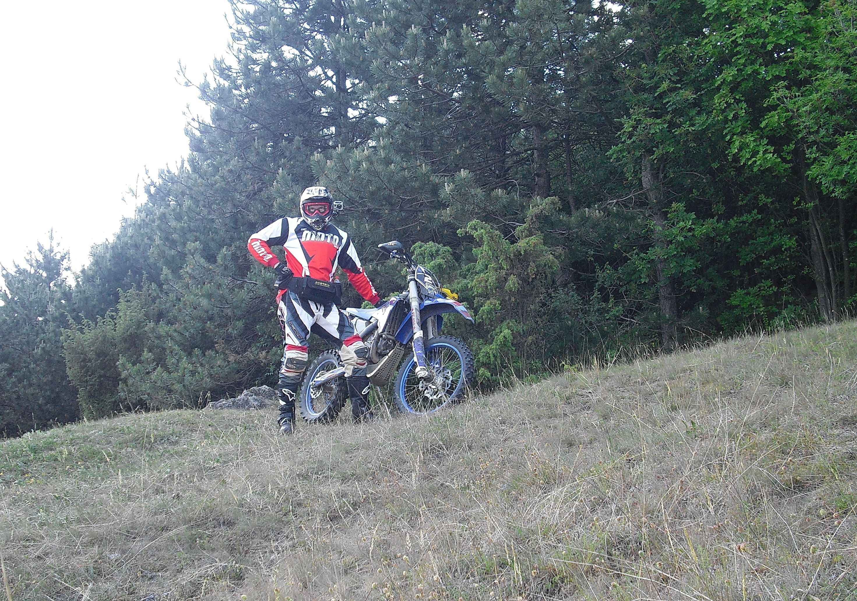 2009 HUSABERG FE 450 E | Picture 2408414 motorcycle photo