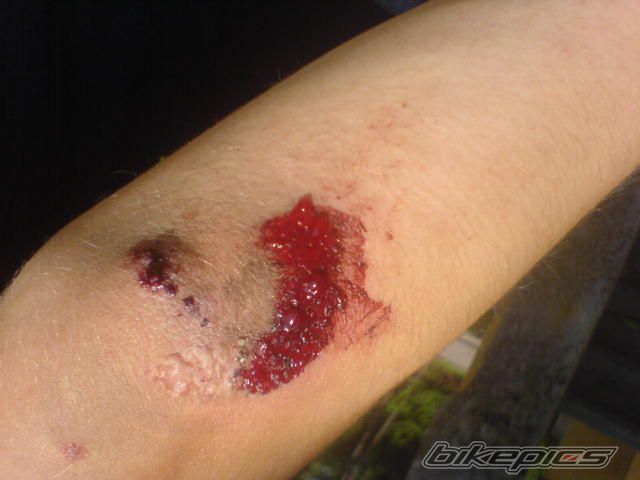    | Picture 2408897 motorcycle photo