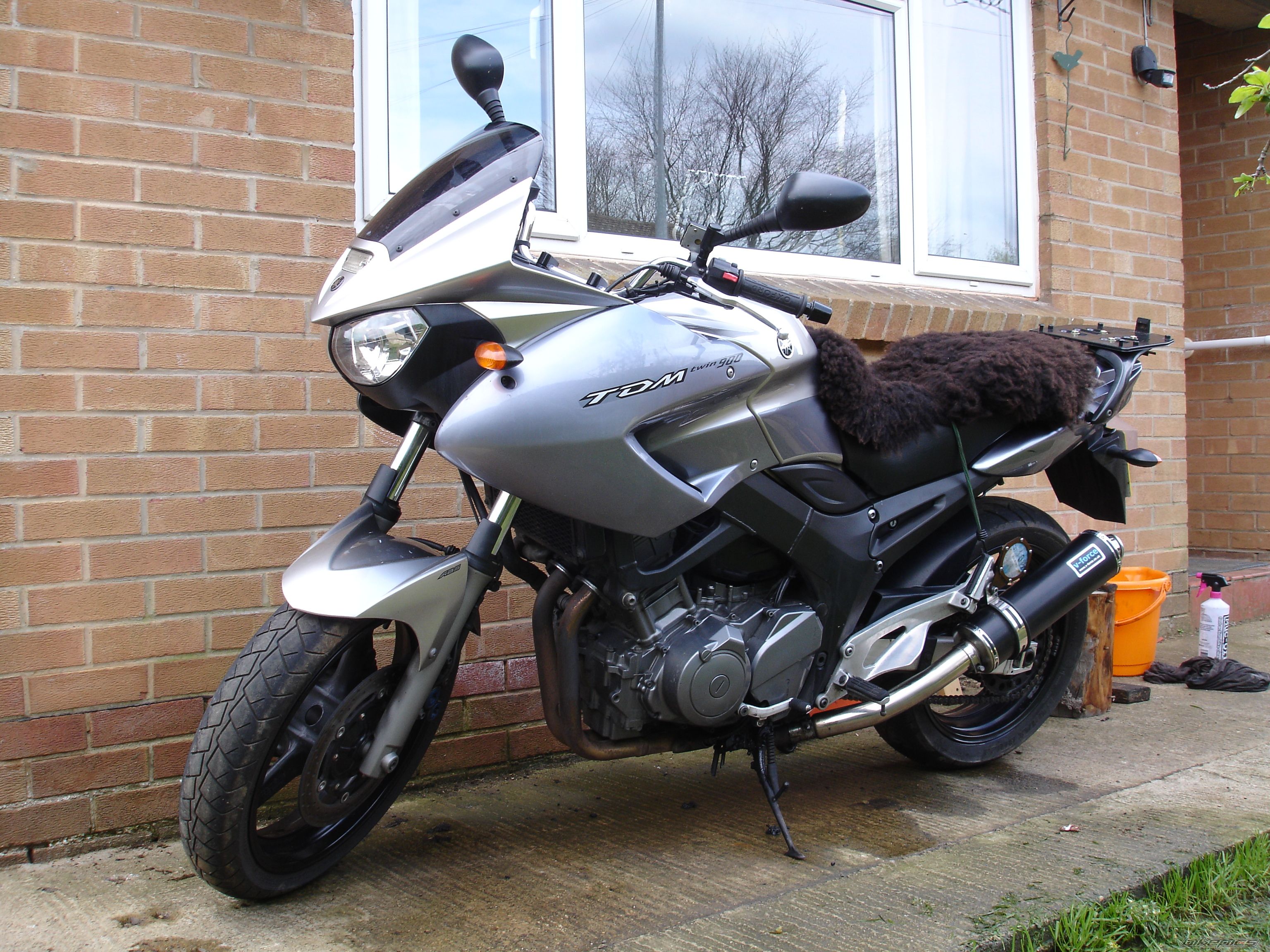 2005 YAMAHA TDM 900 | Picture 2409250 motorcycle photo