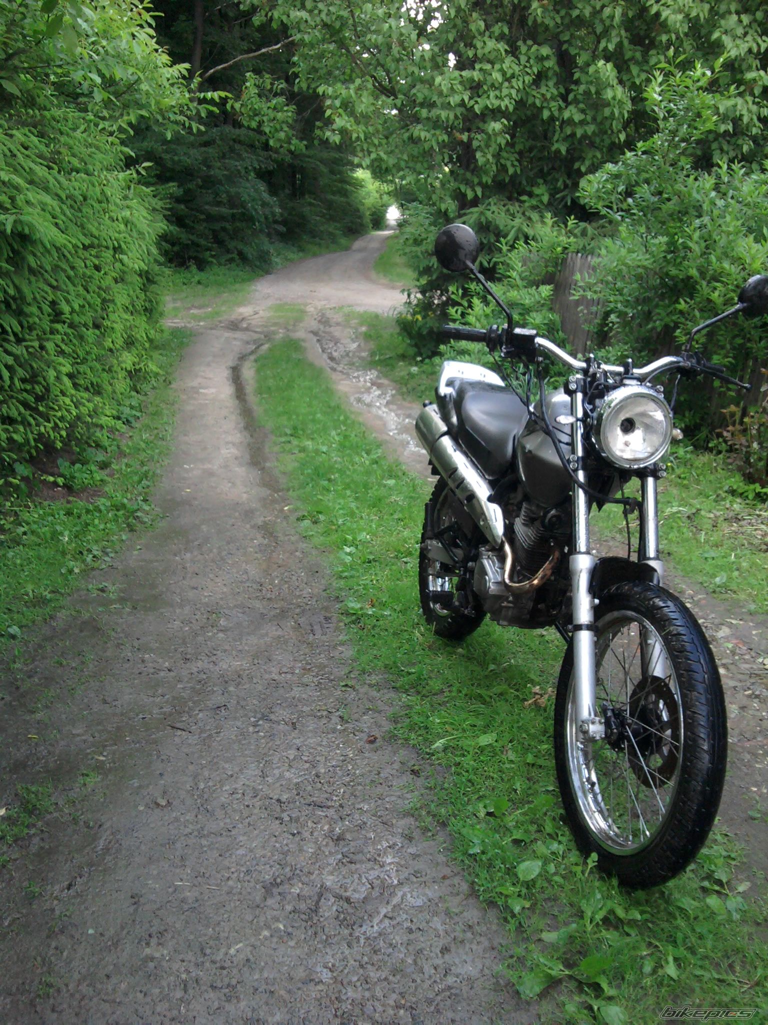 1998 HONDA CLR 125 | Picture 2409502 motorcycle photo