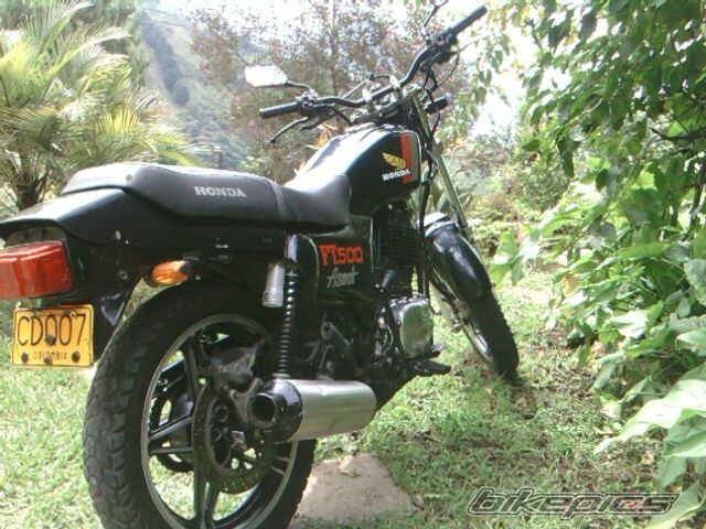 1982 HONDA FT 500 | Picture 2411301 motorcycle photo