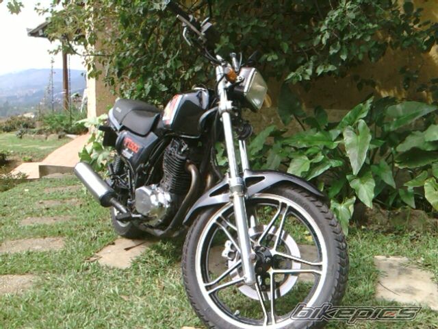 1982 HONDA FT 500 | Picture 2411309 motorcycle photo