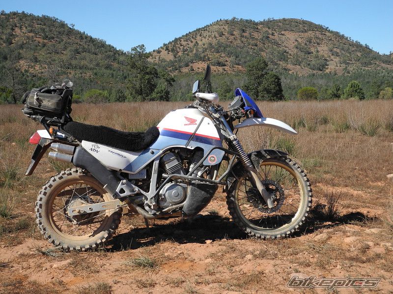 1987 HONDA XL 600V TRANSALP | Picture 2411469 motorcycle photo