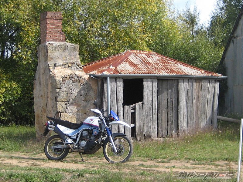 1987 HONDA XL 600V TRANSALP | Picture 2411470 motorcycle photo
