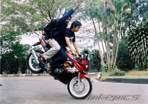 2003 HONDA CBR 150 | Picture 241160 motorcycle photo