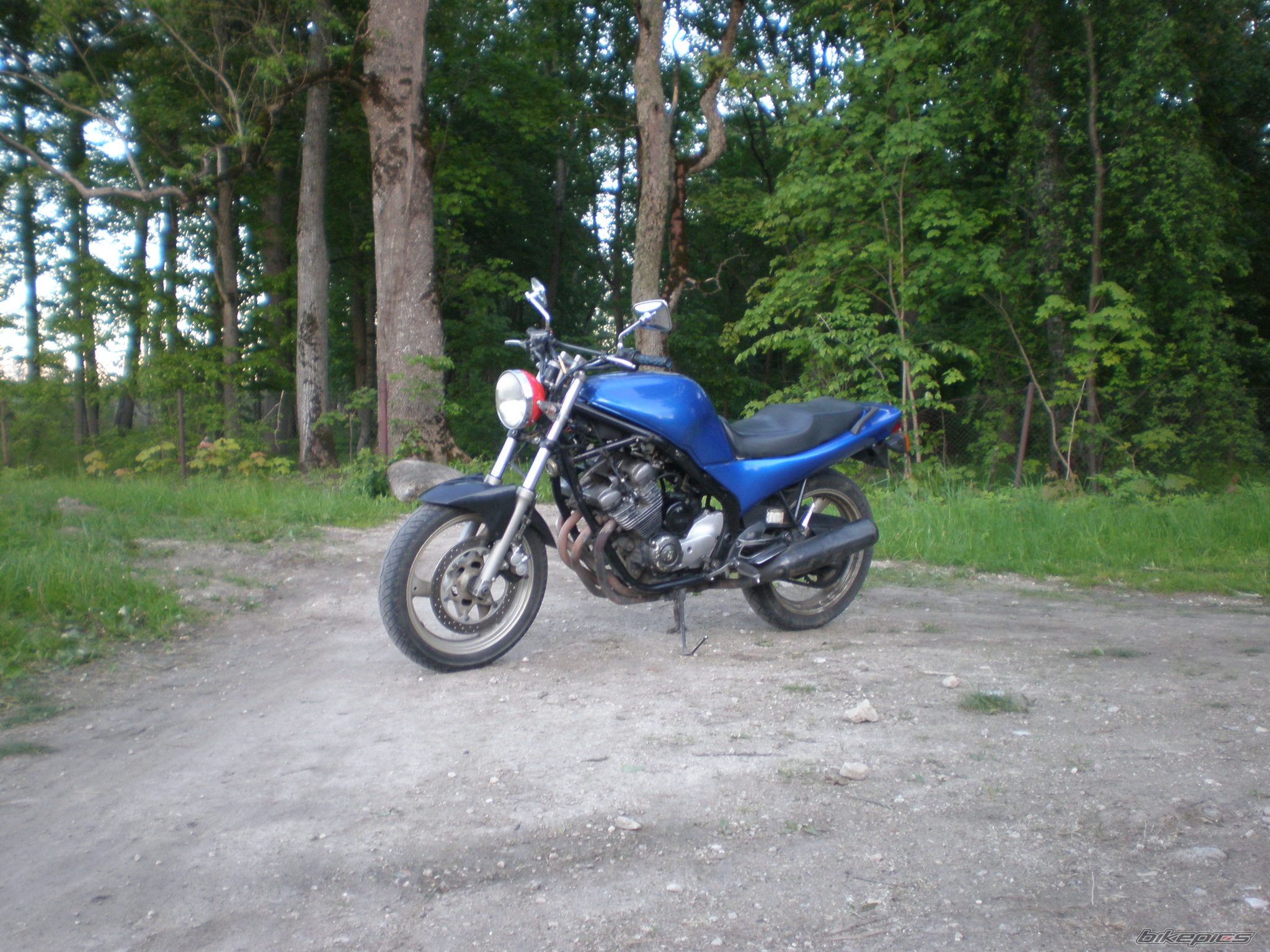 1996 YAMAHA XJ600 DIVERSION | Picture 2411788 motorcycle photo