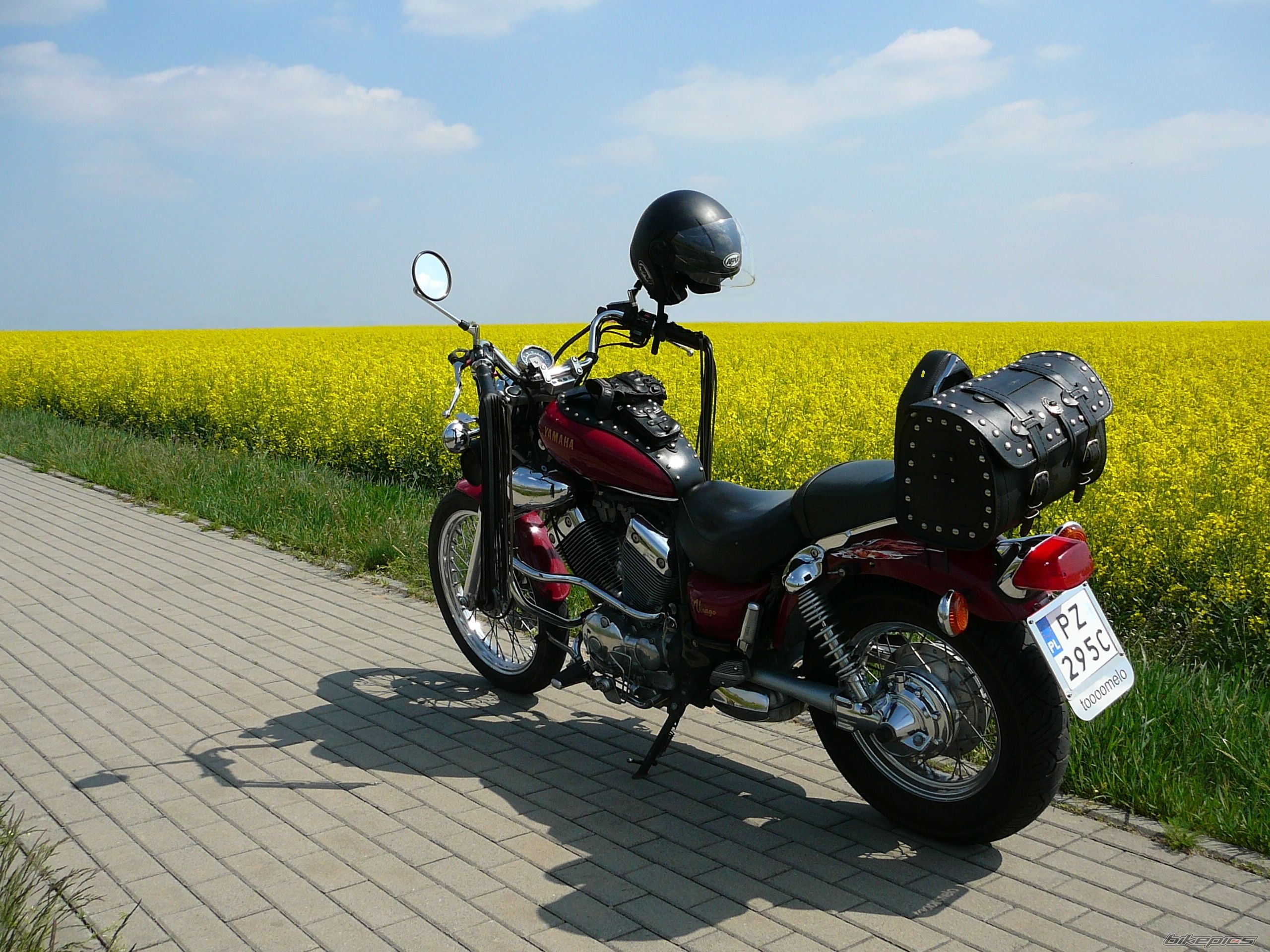 1992 YAMAHA VIRAGO 535 | Picture 2411865 motorcycle photo