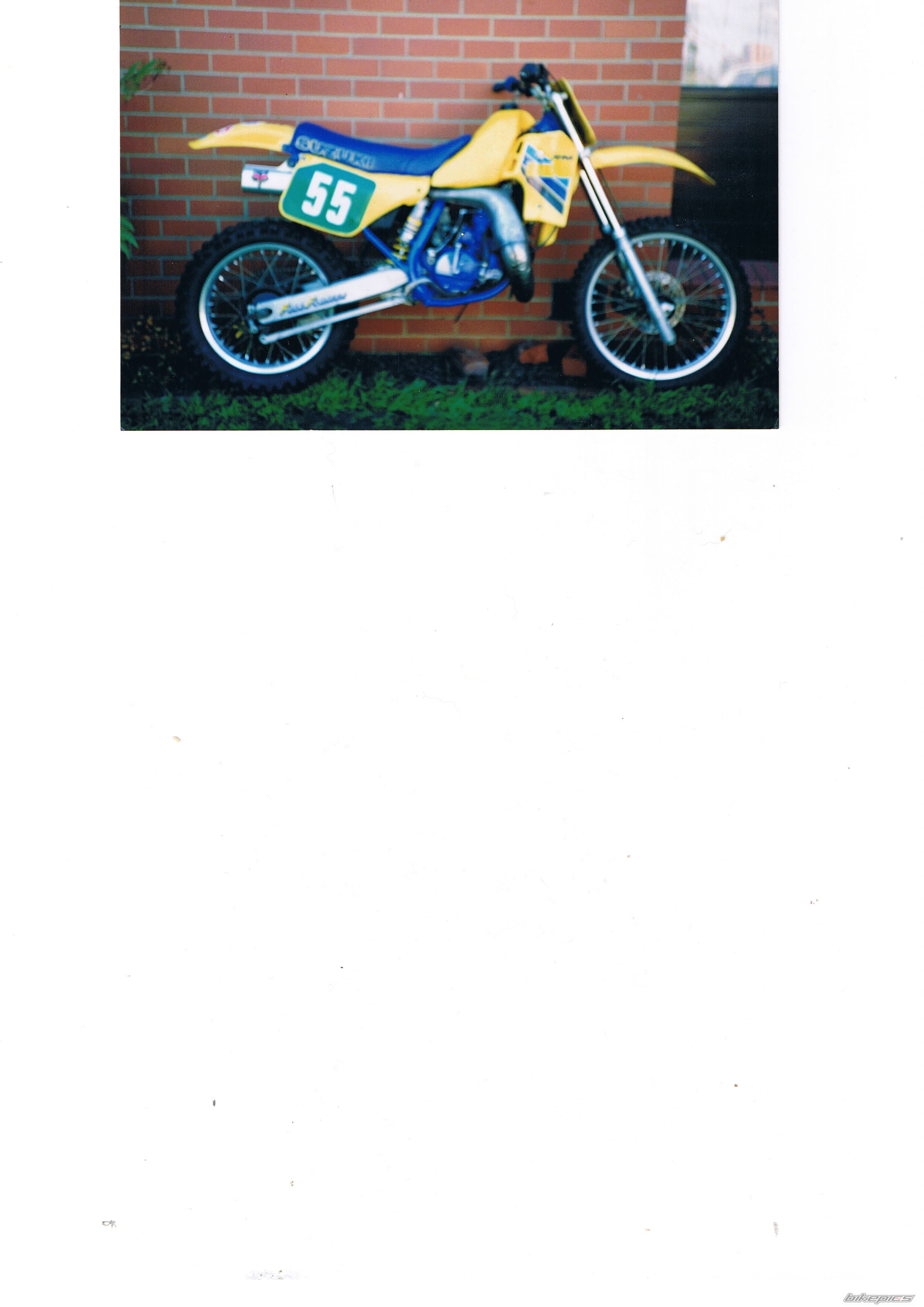 1986 SUZUKI RM 250 | Picture 2412271 motorcycle photo