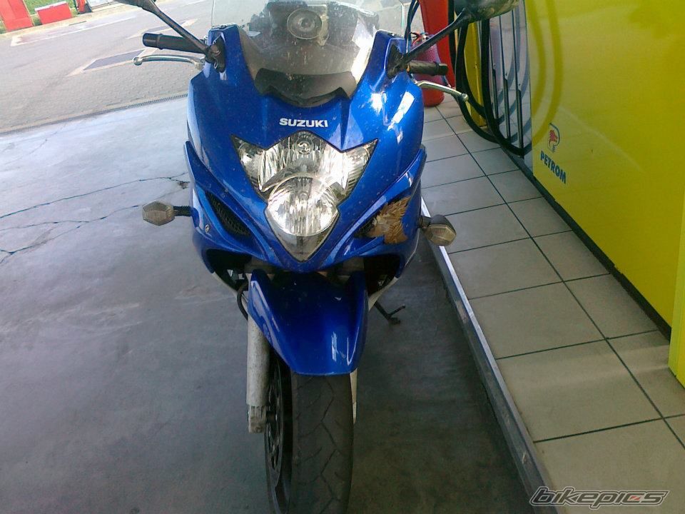 2008 SUZUKI GSX650F | Picture 2412743 motorcycle photo