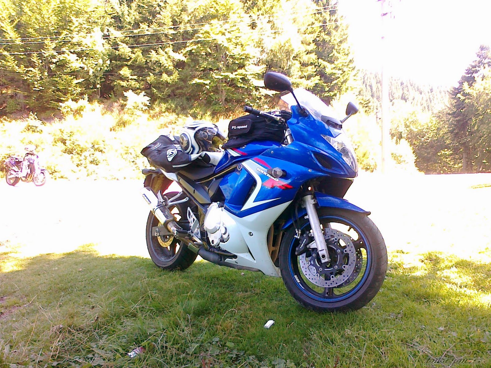 2008 SUZUKI GSX650F | Picture 2412803 motorcycle photo
