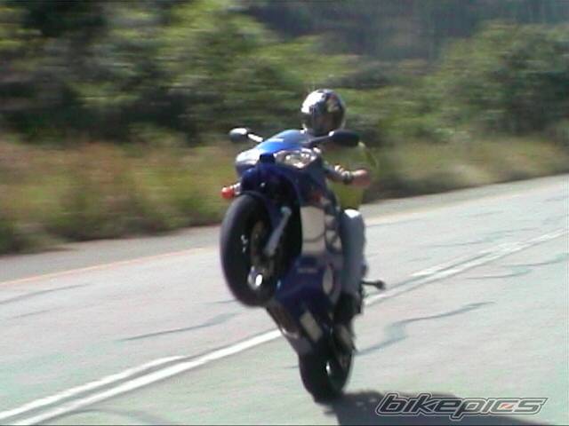 2000 YAMAHA YZF R6 | Picture 2413 motorcycle photo