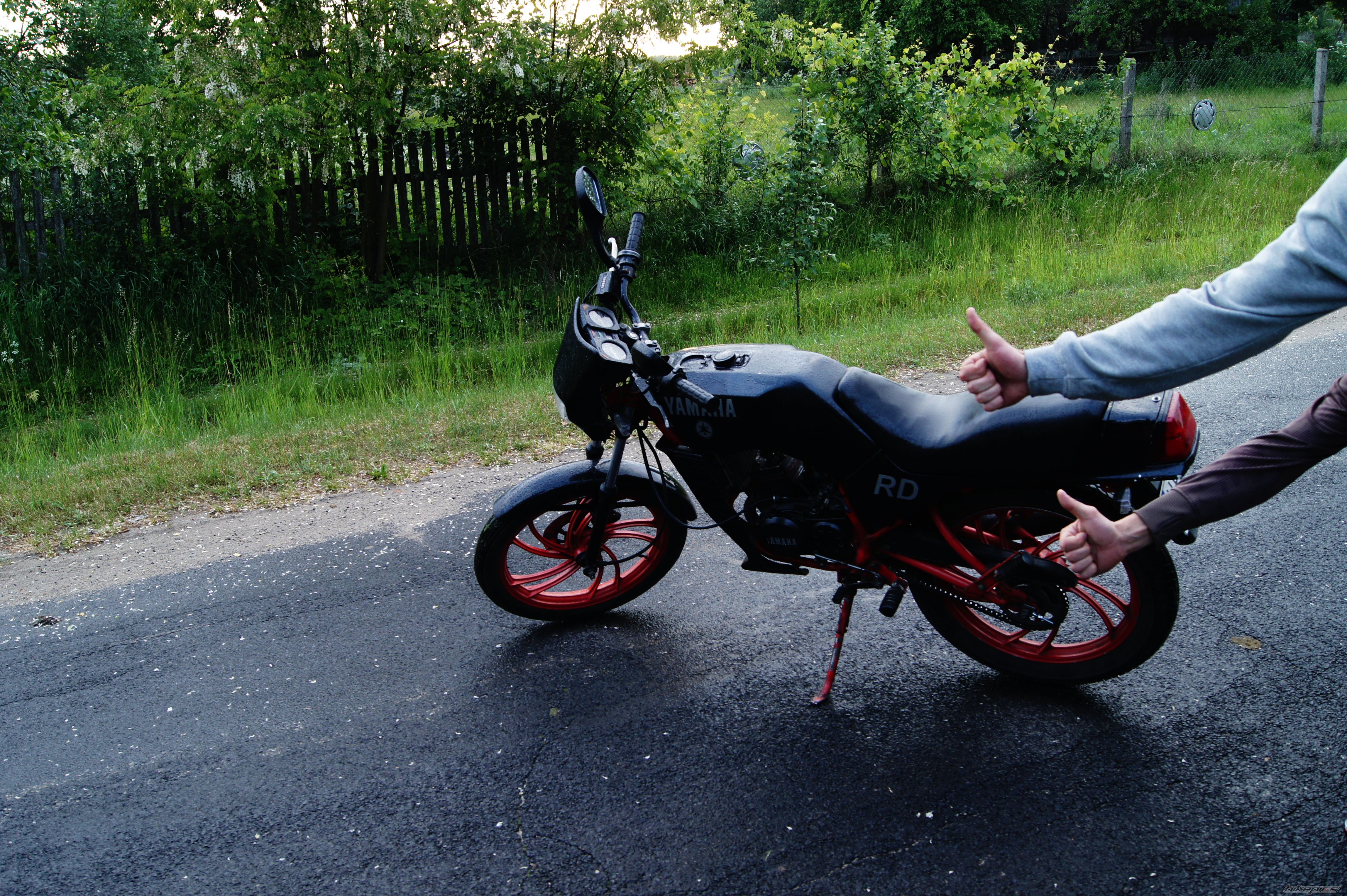 1997 YAMAHA RD 80 | Picture 2413469 motorcycle photo