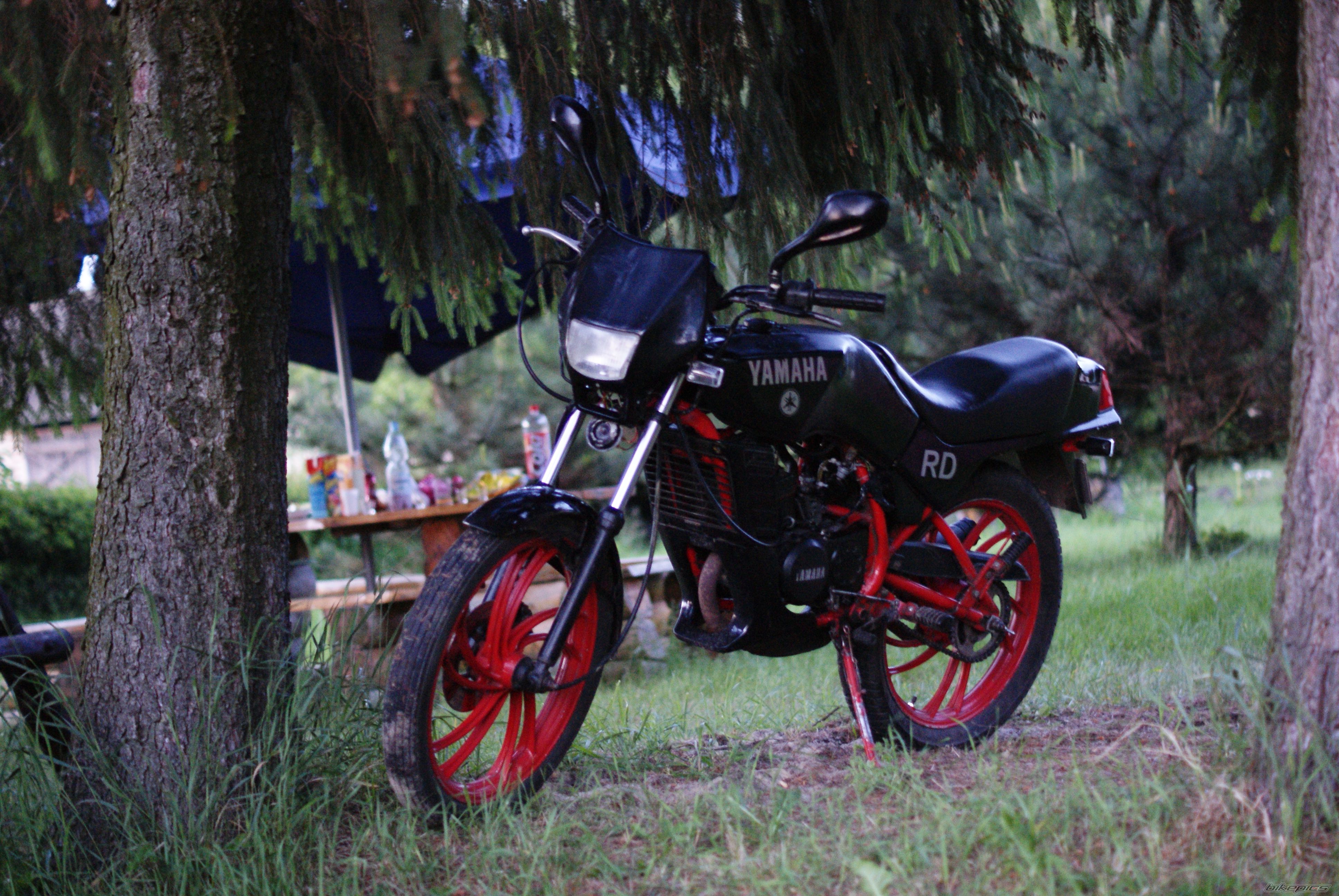 1997 YAMAHA RD 80 | Picture 2413472 motorcycle photo