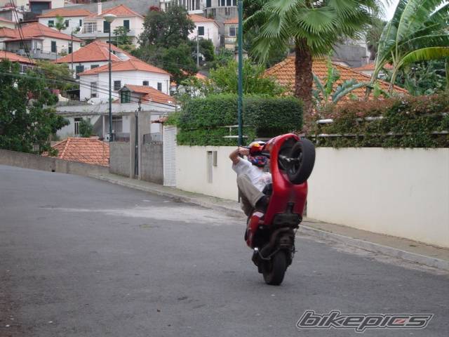 1998 PIAGGIO NTT 50 | Picture 241431 motorcycle photo