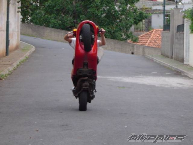 1998 PIAGGIO NTT 50 | Picture 241432 motorcycle photo
