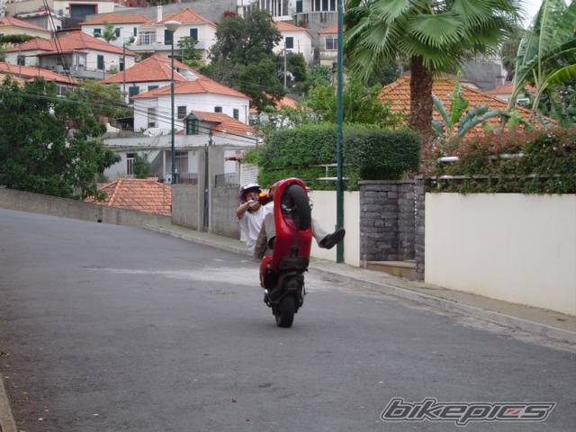 1998 PIAGGIO NTT 50 | Picture 241433 motorcycle photo