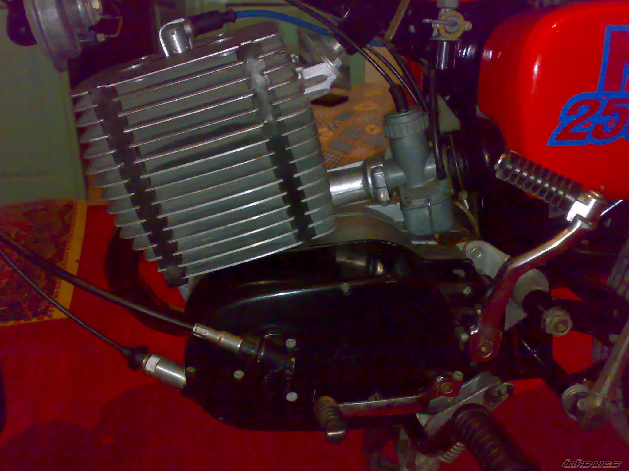 1991 MZ ETZ 251 | Picture 2414533 motorcycle photo