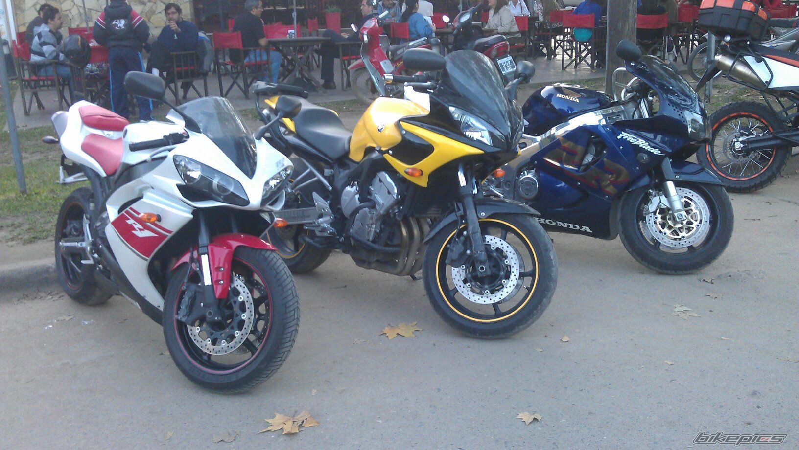 2009 YAMAHA FZ6 FAZER | Picture 2414638 motorcycle photo