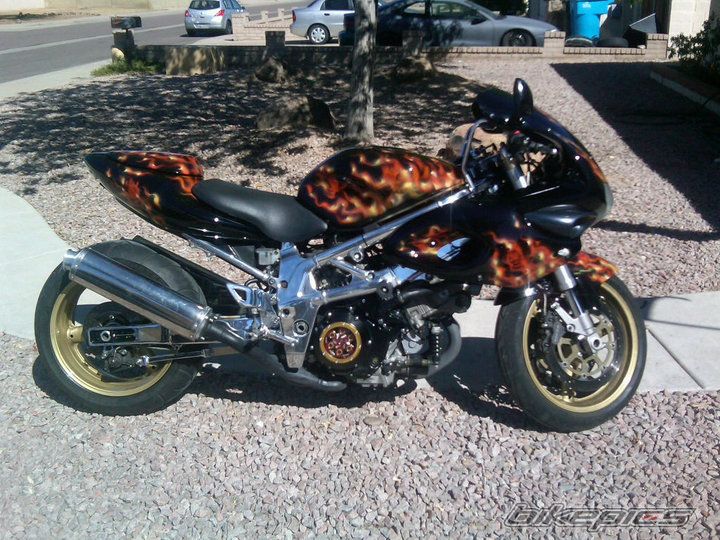 1999 SUZUKI TL1000S | Picture 2415242 motorcycle photo
