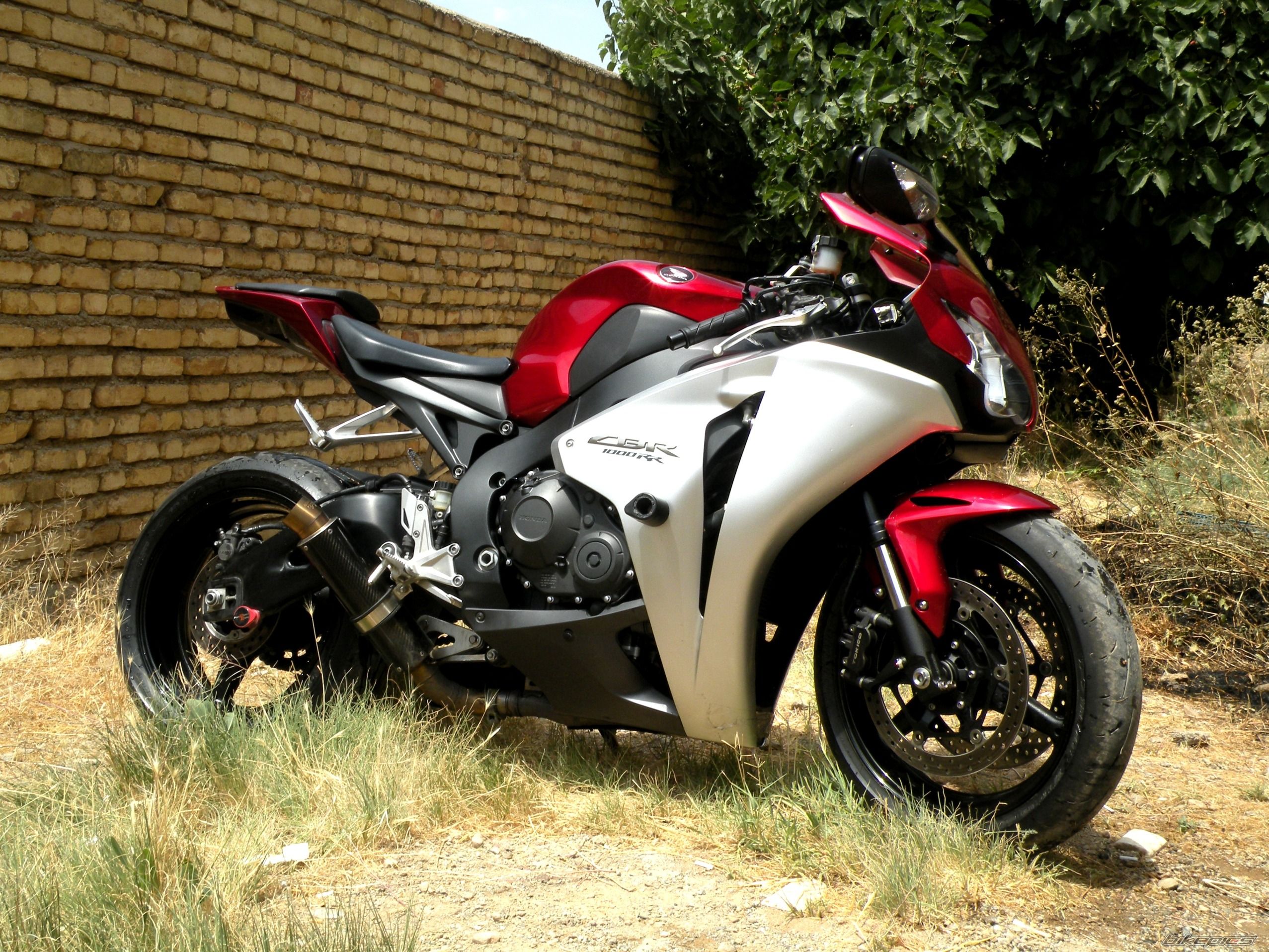 2008 HONDA CBR 1000  RR | Picture 2415781 motorcycle photo