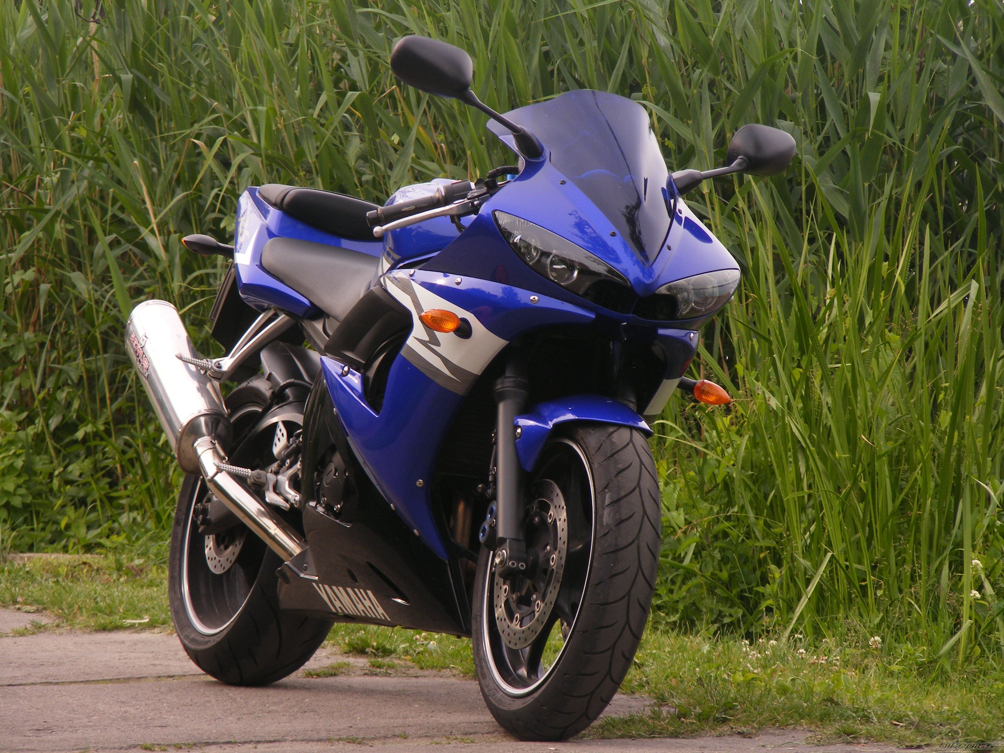 2004 YAMAHA YZF R6 | Picture 2415906 motorcycle photo
