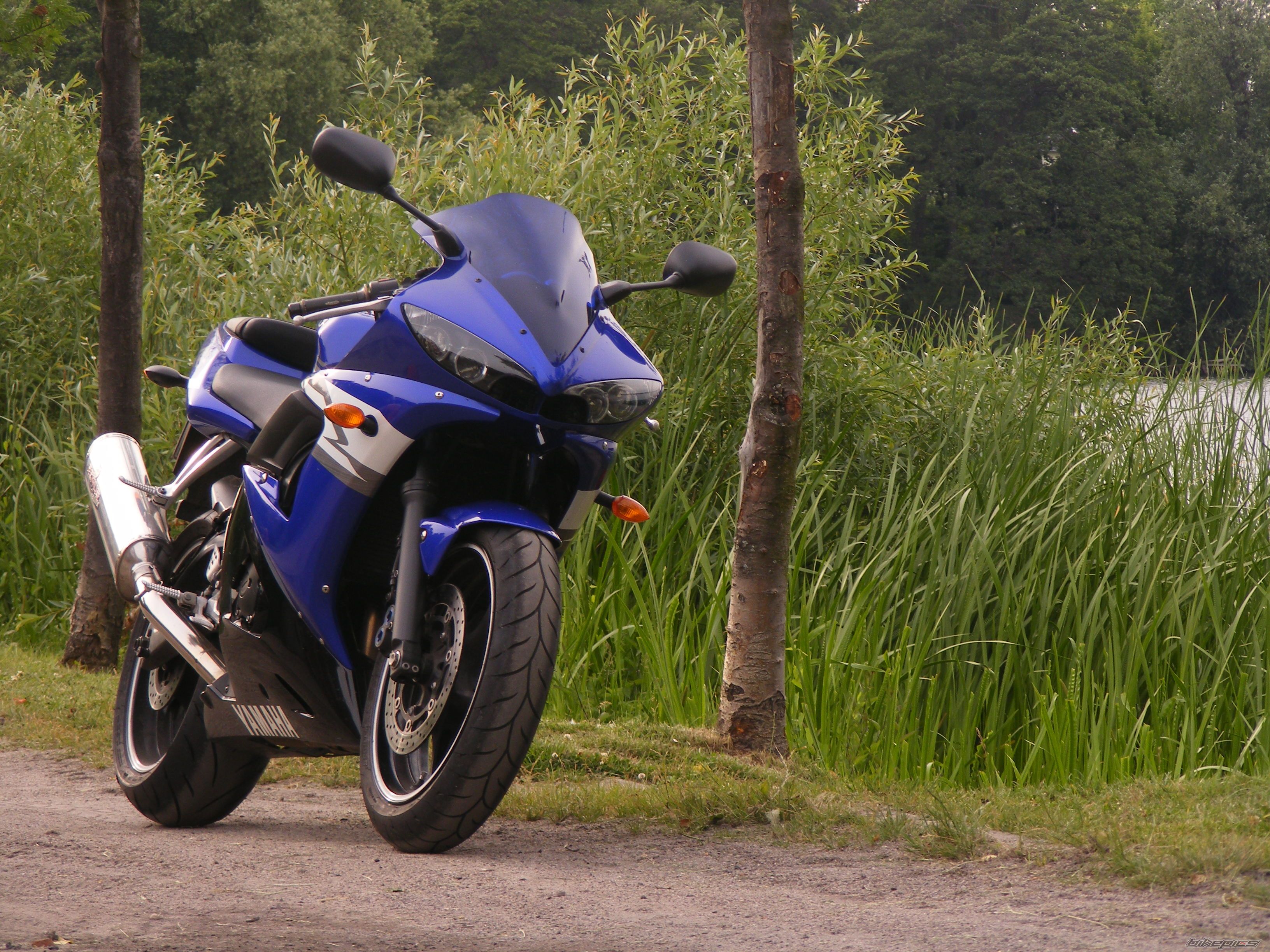 2004 YAMAHA YZF R6 | Picture 2415911 motorcycle photo