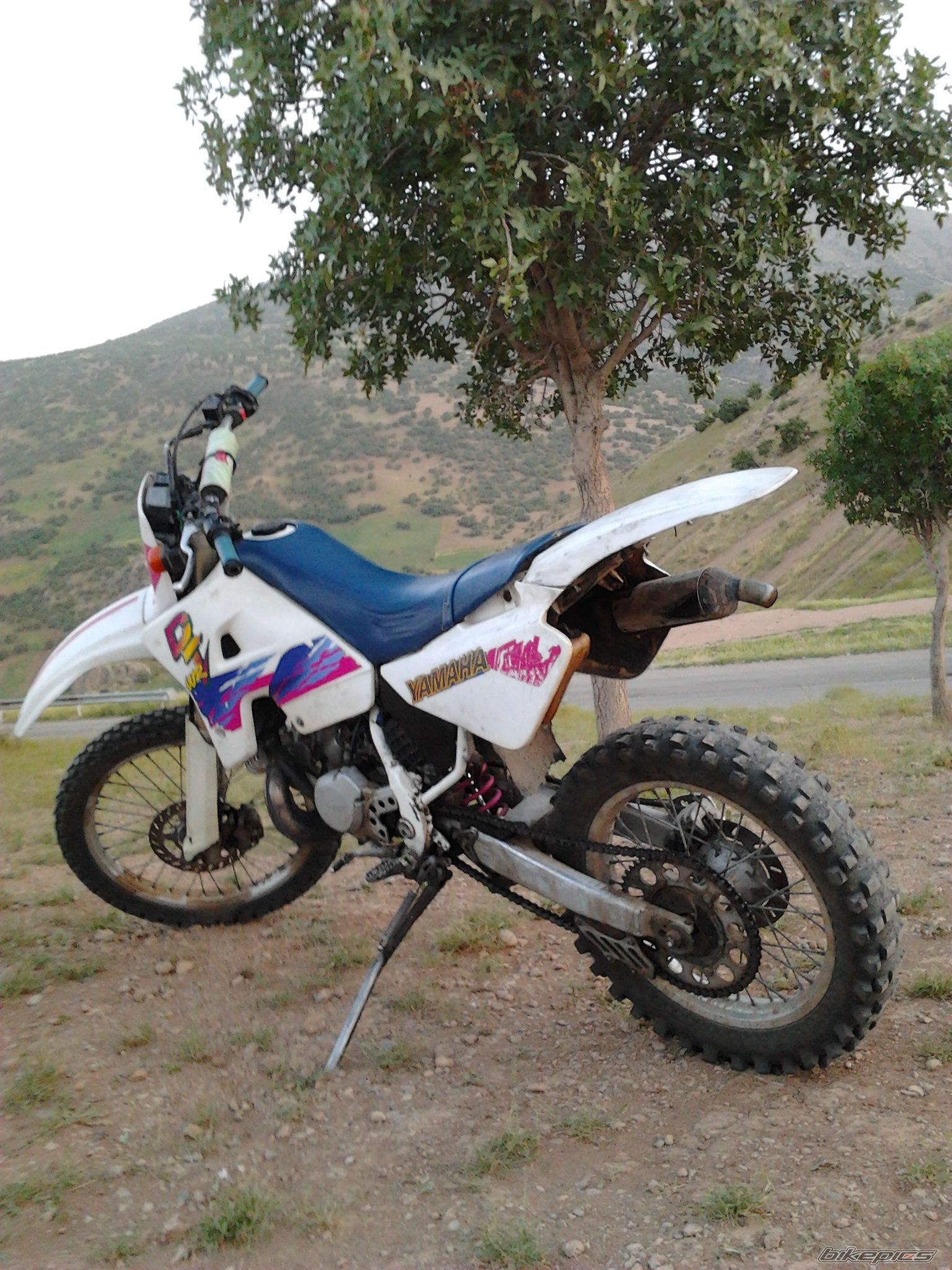   | Picture 2416637 motorcycle photo