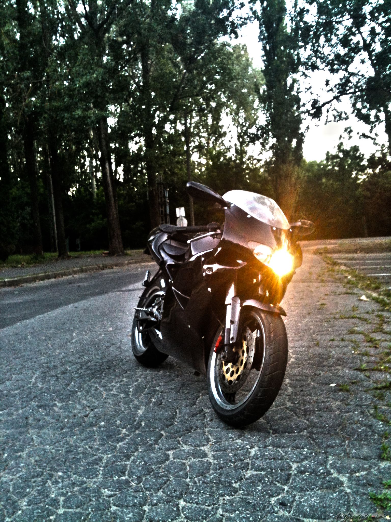 1995 APRILIA RS 125 | Picture 2416821 motorcycle photo