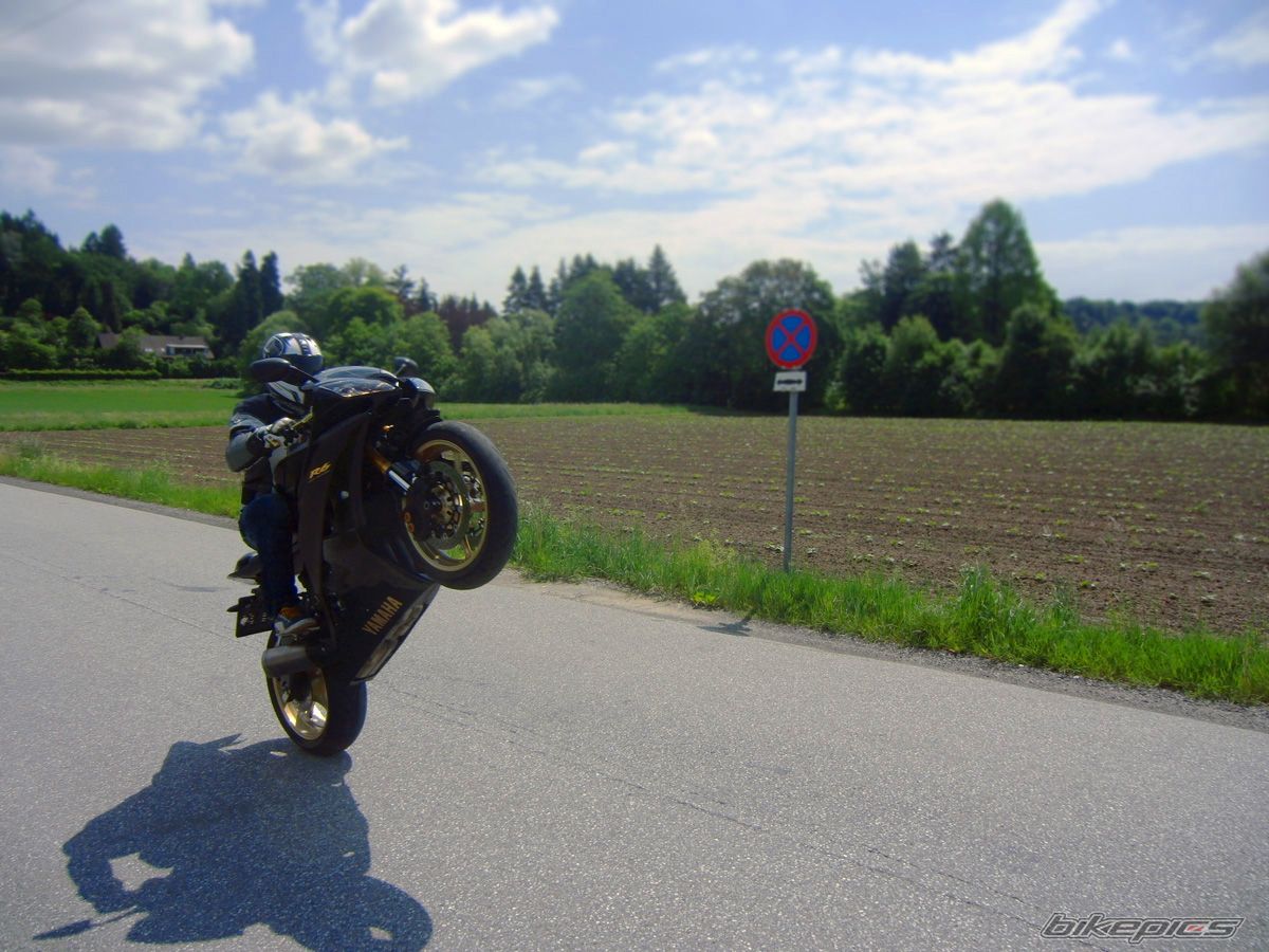 2011 YAMAHA YZF R6 | Picture 2418111 motorcycle photo