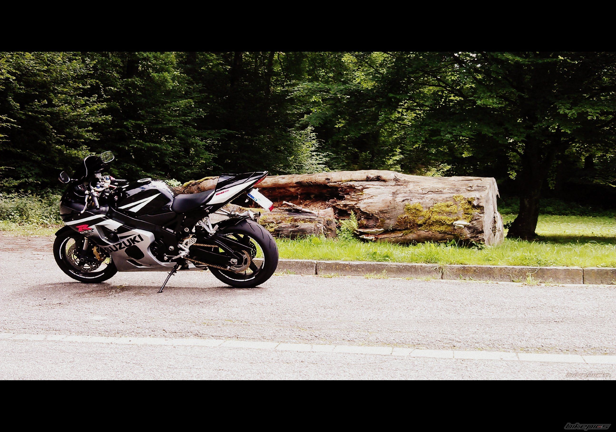2005 SUZUKI GSX R 600 | Picture 2420012 motorcycle photo
