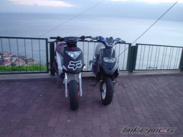 2003 GILERA ICE 50 | Picture 242025 motorcycle photo