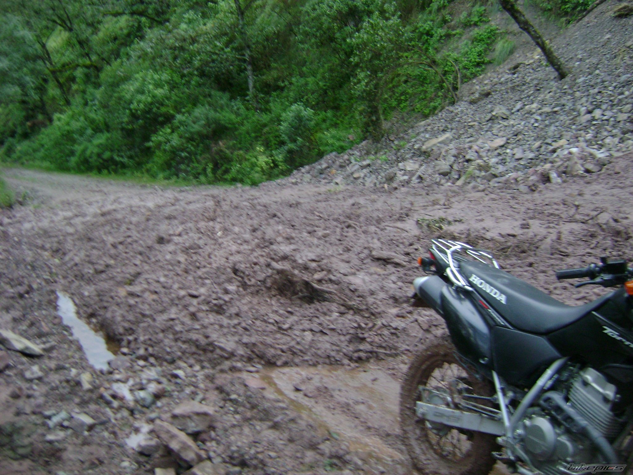 2010 HONDA XR TORNADO | Picture 2421855 motorcycle photo