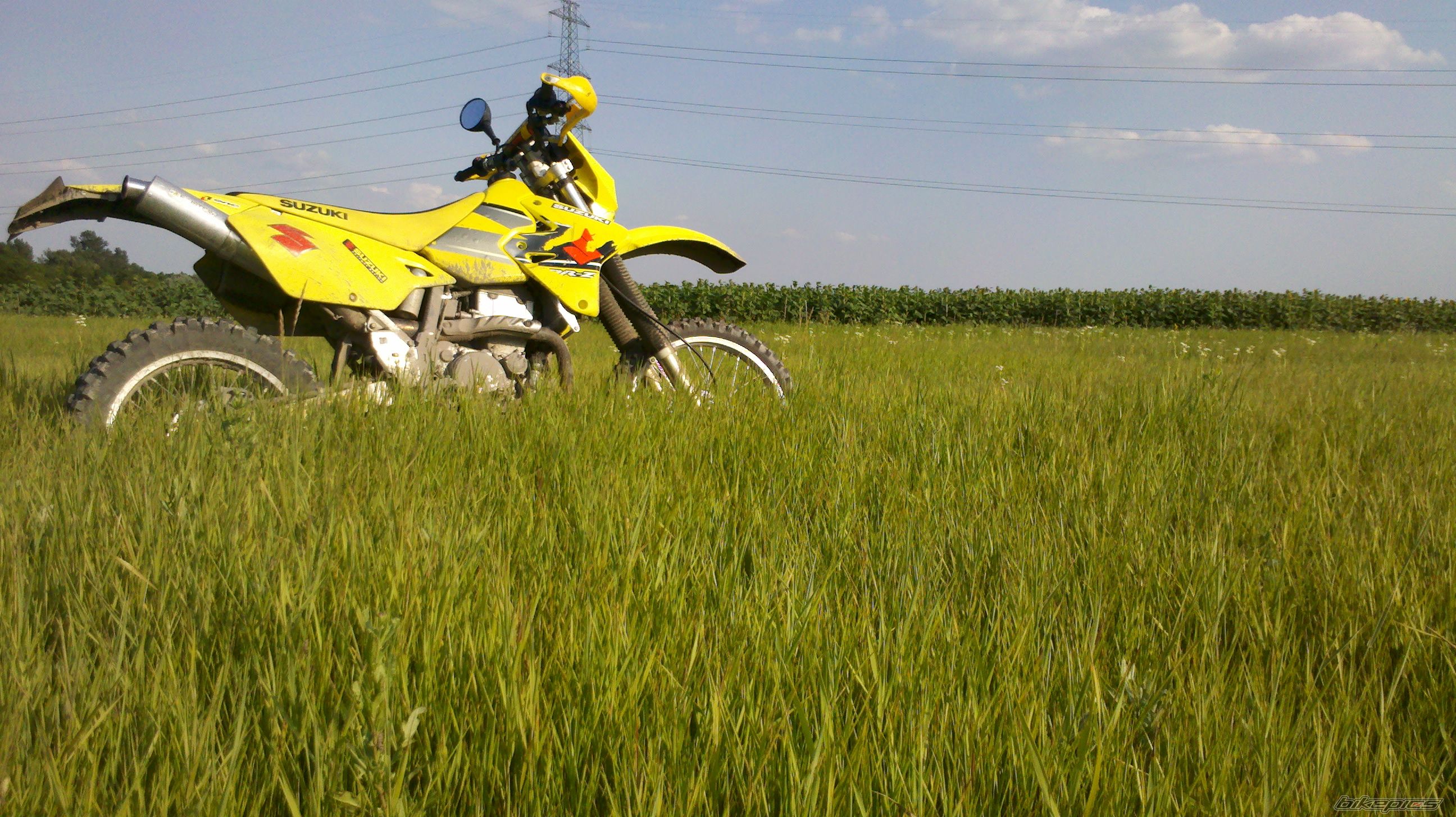 2002 SUZUKI DRZ 400 | Picture 2422070 motorcycle photo