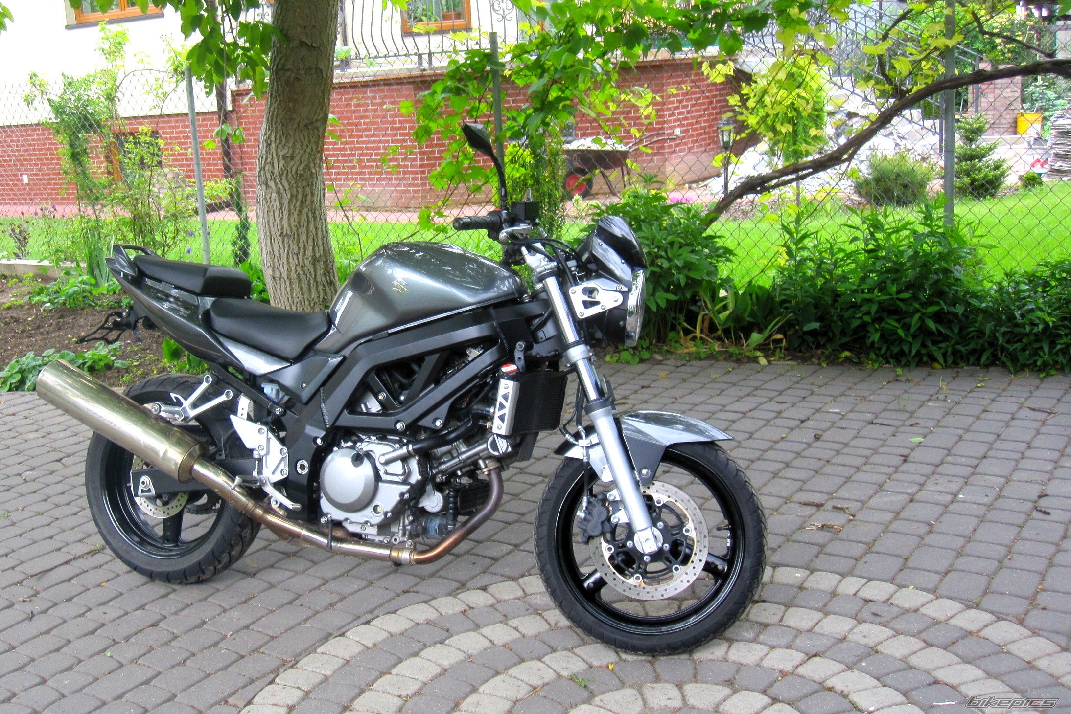 2008 SUZUKI SV 650 | Picture 2422966 motorcycle photo
