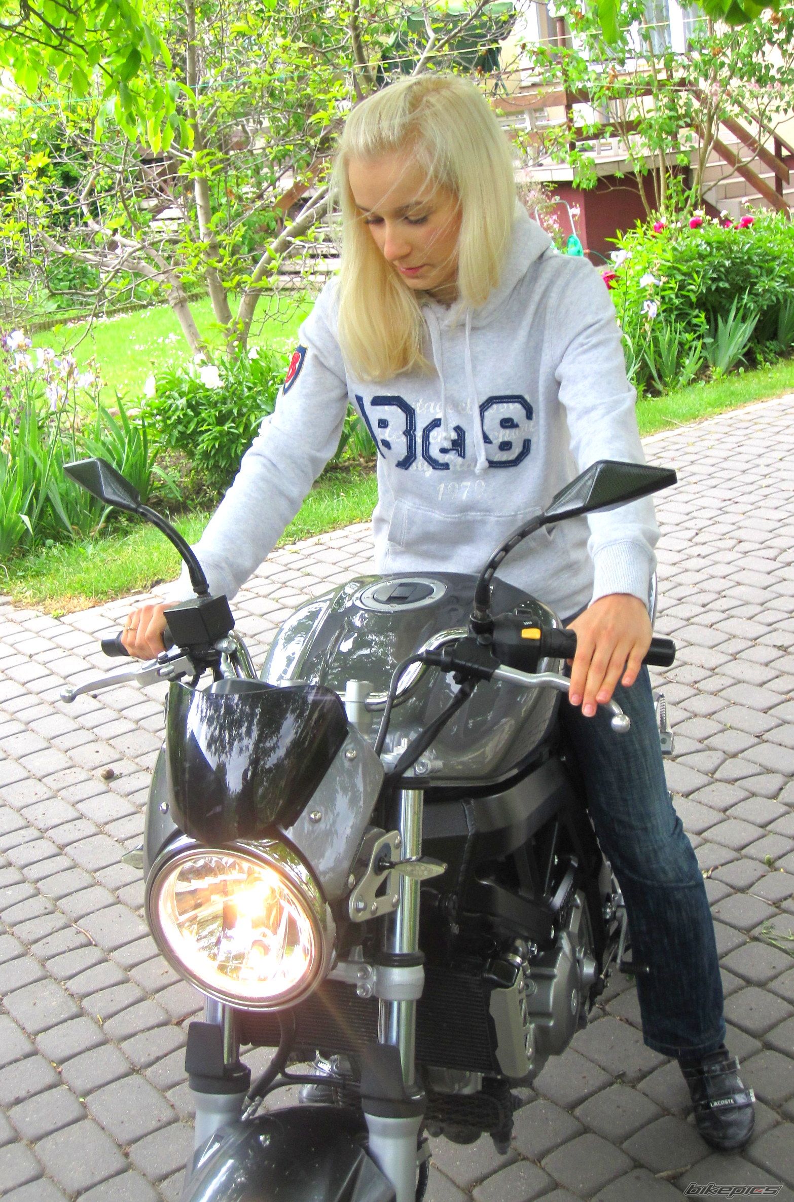 2008 SUZUKI SV 650 | Picture 2422967 motorcycle photo