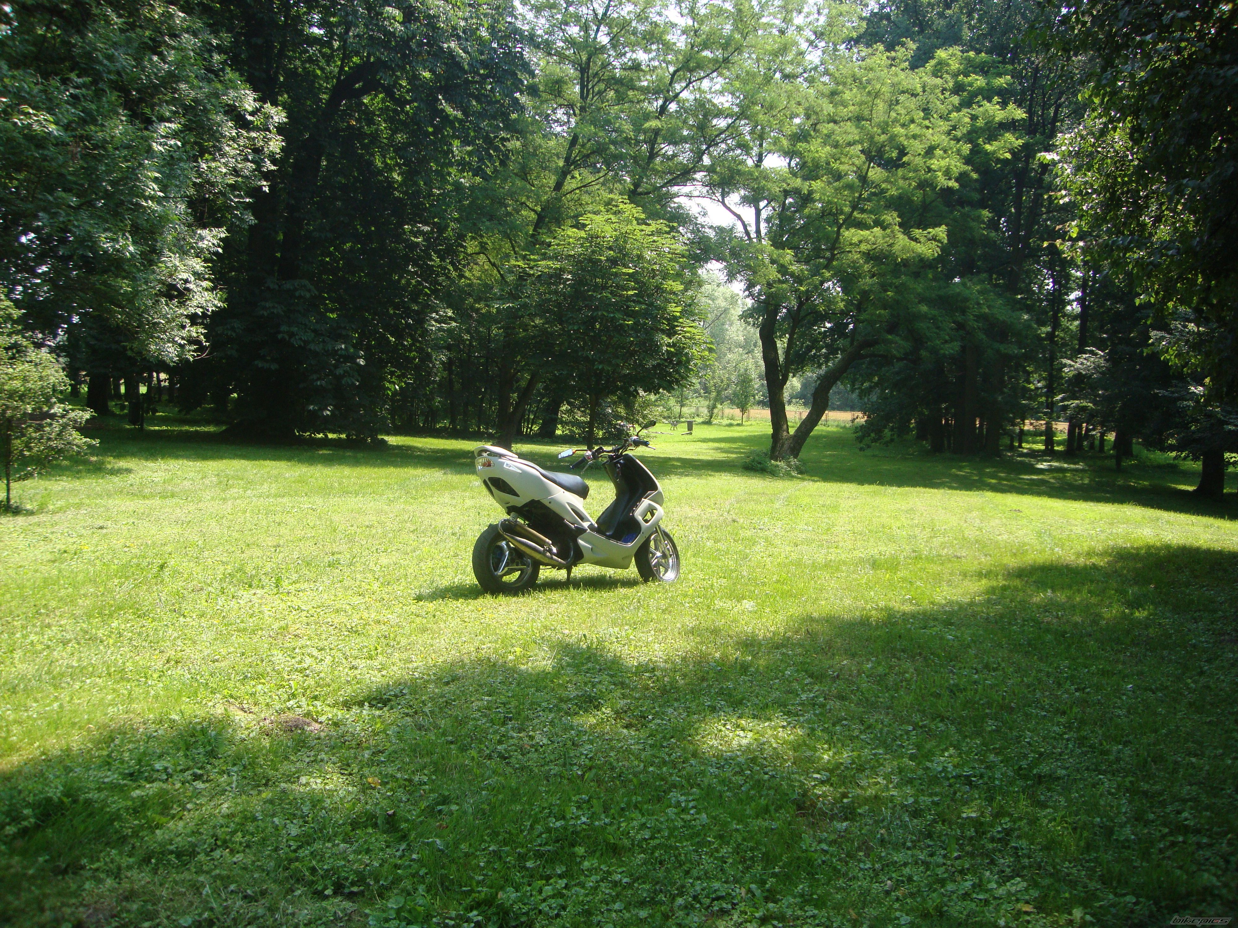 1999 PEUGEOT SPEEDFIGHT PROST | Picture 2423060 motorcycle photo