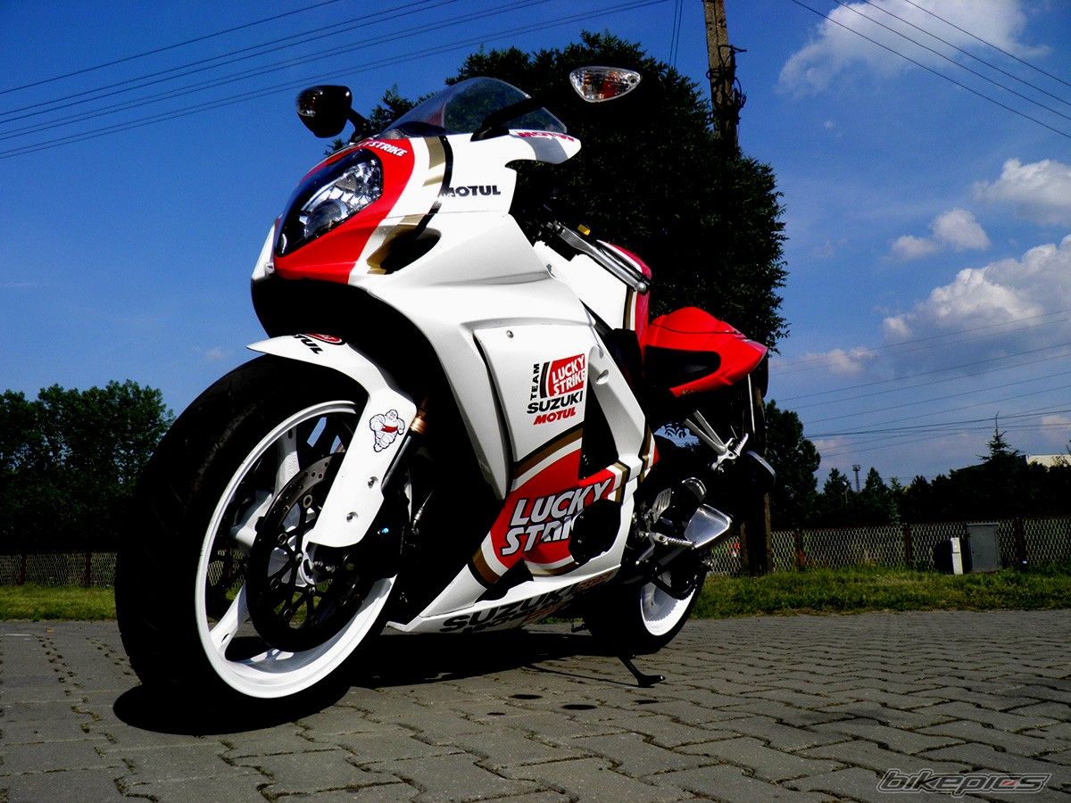 2008 SUZUKI GSX R 1000 | Picture 2424473 motorcycle photo