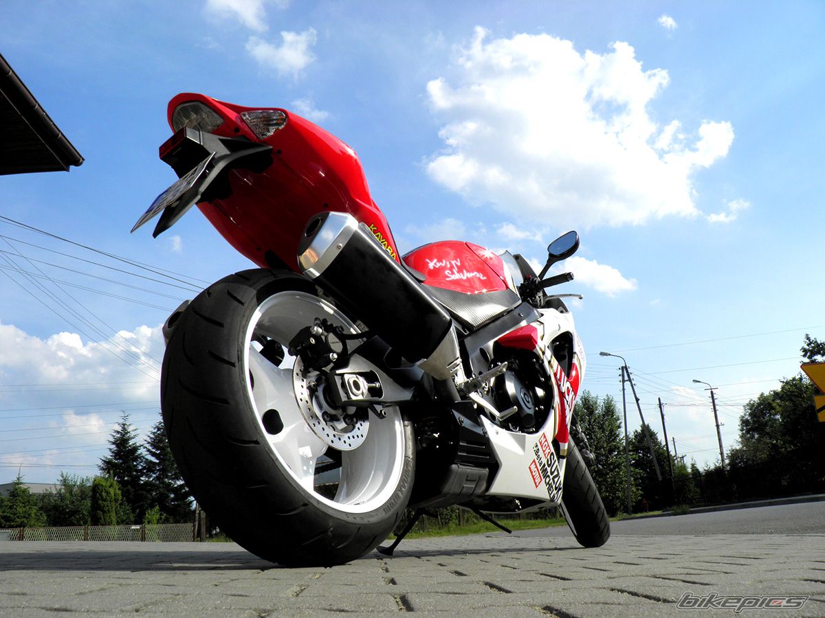 2008 SUZUKI GSX R 1000 | Picture 2424474 motorcycle photo