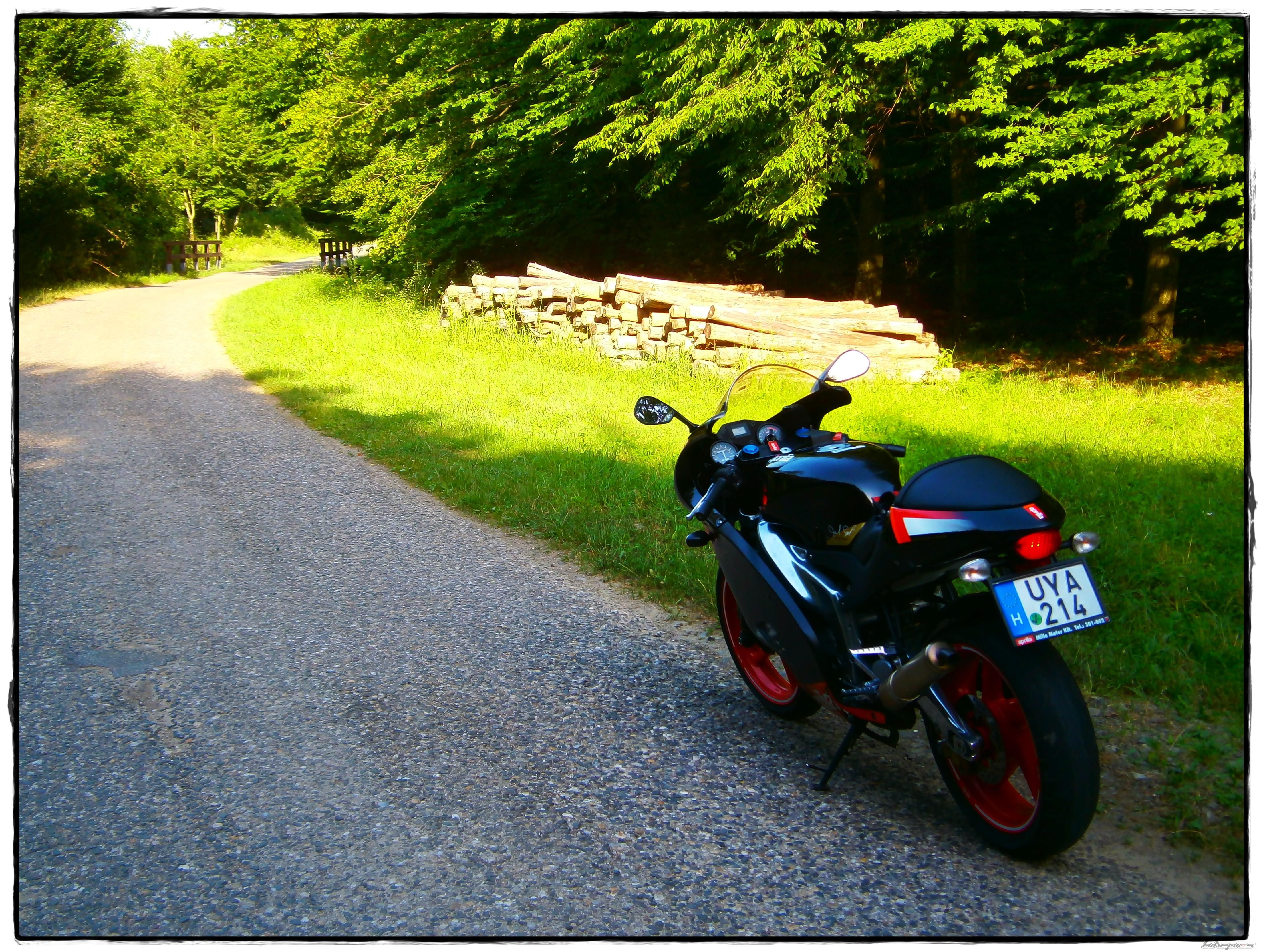 2004 APRILIA RS 125 | Picture 2424509 motorcycle photo